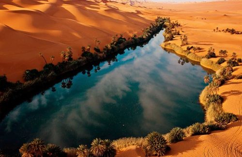 بیابان واحه