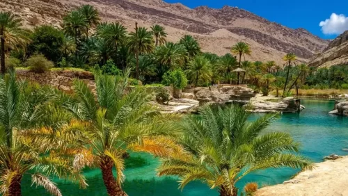  وادی بنی خالد