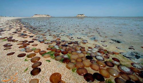 تور کمپینگ VIP جزیره هندورابی