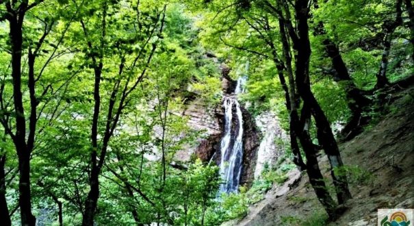آبشار جنگل ابر