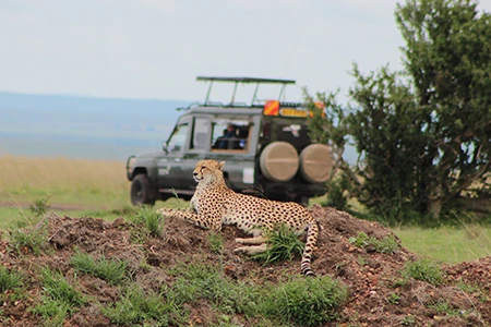 تور اقتصادی کنیا