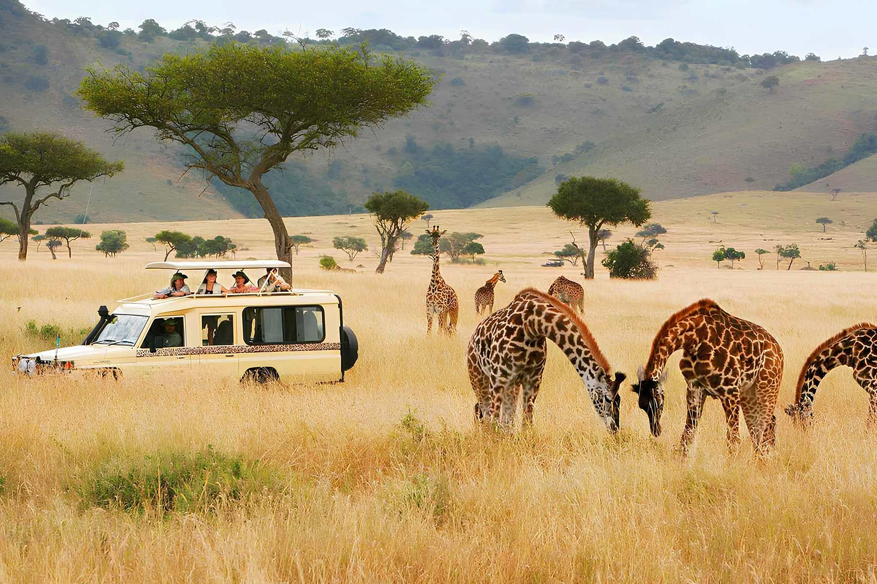 تور کامل کنیا