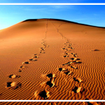 صحرای-وهیبا صحرای وهیبا