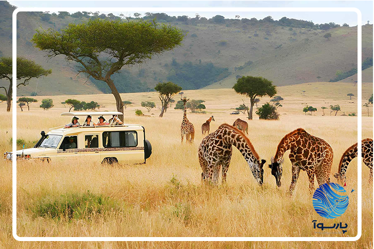 تور کامل کنیا
